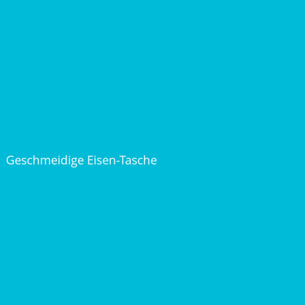 Geschmeidige Eisen-Tasche