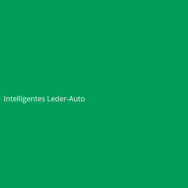Intelligentes Leder-Auto