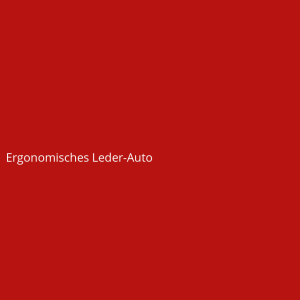 Ergonomisches Leder-Auto