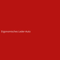 Ergonomisches Leder-Auto