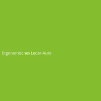 Ergonomisches Leder-Auto